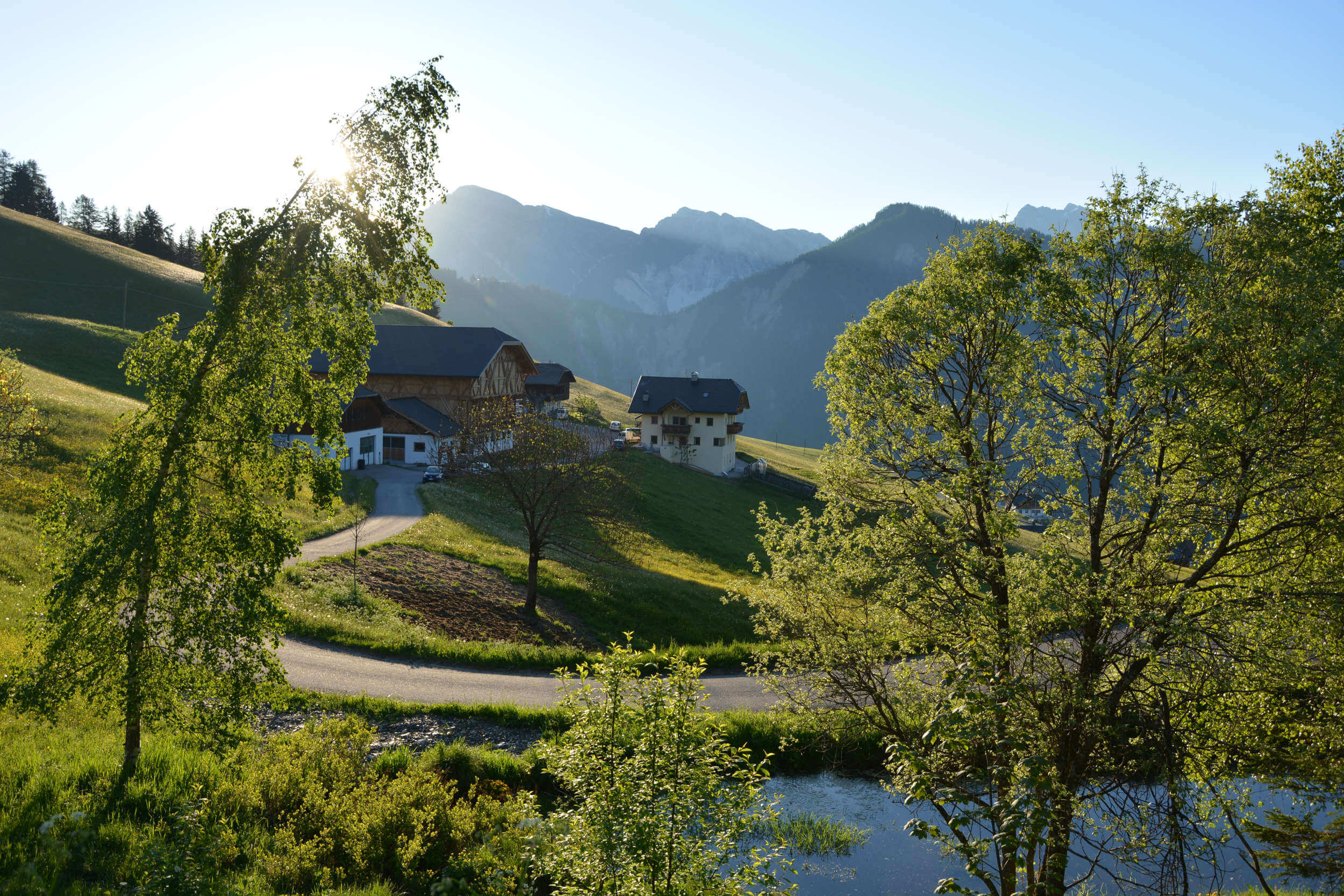 Azienda Agricola Gscnara